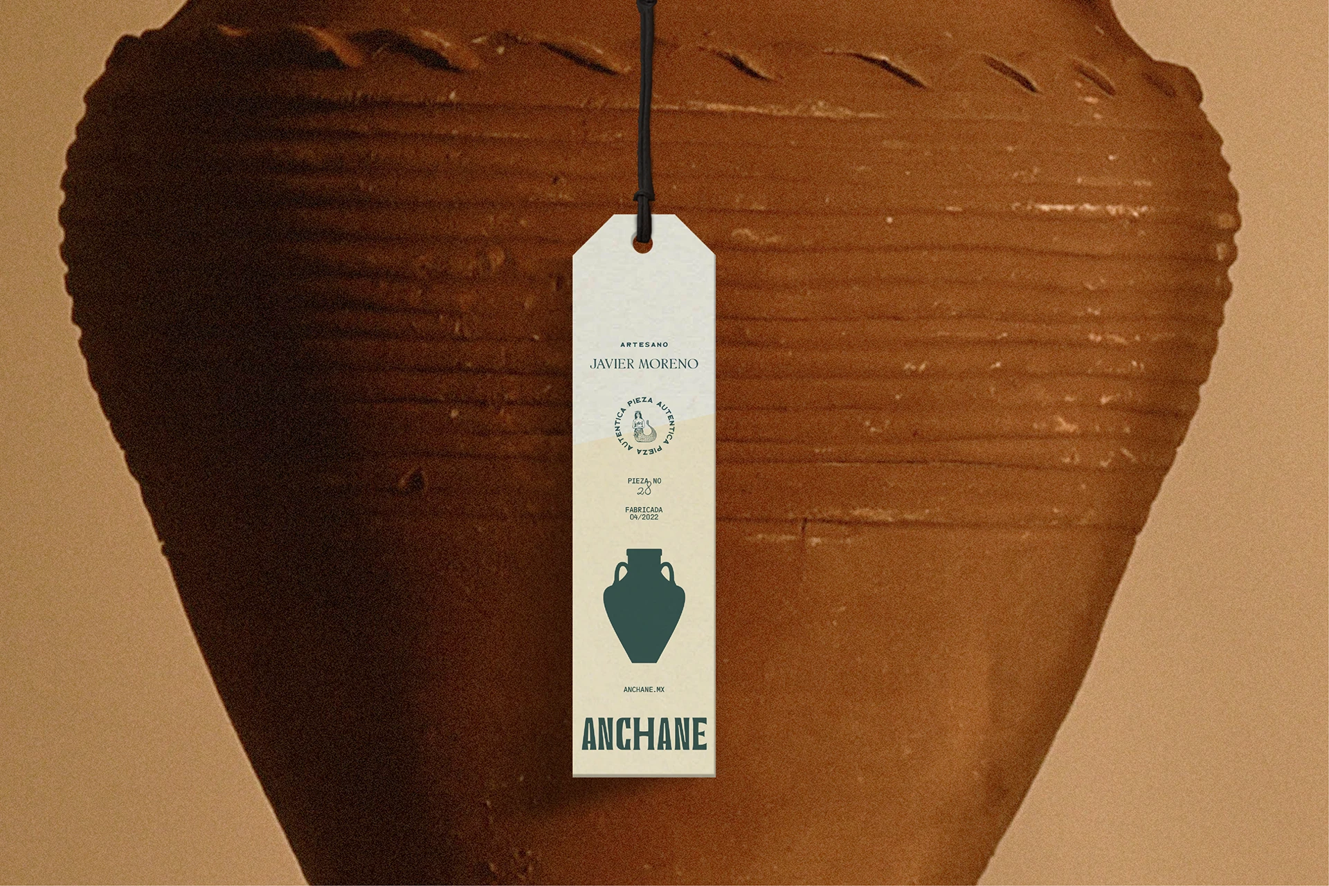 Proyecto Anchane